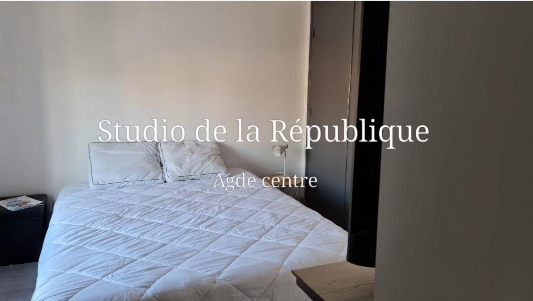 Le Studio De La Republique Agde Bagian luar foto