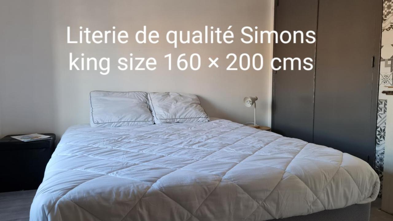 Le Studio De La Republique Agde Bagian luar foto